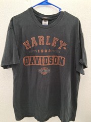 Harley Davidson Graphic Shirt Lot Of 6 Size XL Motorcycle Shirts & Patch