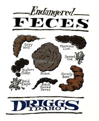 Vintage Endangered Feces Funny T Shirt Single Stitch Ferret Driggs Idaho M