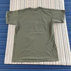 VTG Arkansas Natural Bridge Shirt Mens Medium Green Bayside Nature Outdoors 8545