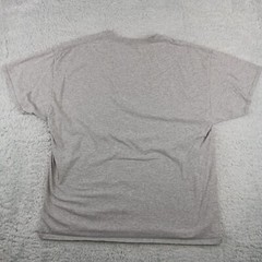 The Lion King Shirt Mens Extra Large Gray Simba Mufasa Graphic Crew Tee