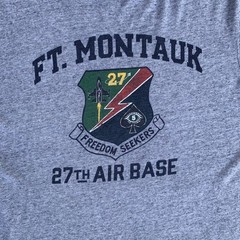 Polo Ralph Lauren Men’s Grey Heather Air Force Military Graphic T Shirt, L