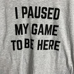 Ann Arbor T Shirt Company-I Paused My Game To Be Here-Gray Graphic T-Medium