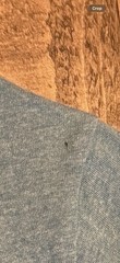 Polo Ralph Lauren Custom Slim Fit Men’s L Blue Crew Neck Cotton Polo Pony Tee