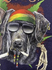 Best Buds Pirate Lab Marijuana Ocean City MD Men’s 2XL Shirt