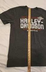 Harley Davidson Geneve Switzerland Flame Dice Short Sleeve T-shirt D. Gray – M