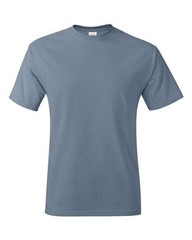 Hanes Unisex Authentic T-Shirt