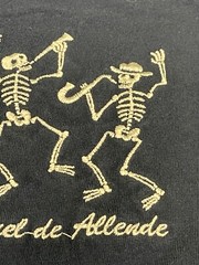 Yacht Club San Miguel de San Allende Skeleton Playing Instruments T-Shirt Medium