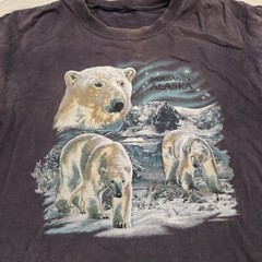 VTG Y2K Polar Bear Fairbanks Alaska Mens L Large? Distressed Faded T Shirt