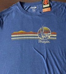 Wrangler Retro T-Shirt Mens M Blue Desert Sunset Cactus Graphic Tee EUC