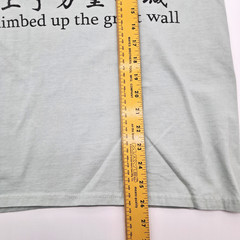 VTG I Have Climbed Up the Great Wall Graphic China T-Shirt Size L Sage Green