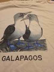 Charles Darwin Galapagos Blue Footed Boobies Bird Nature Shirt XXL See Pics