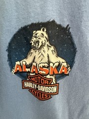 Harley Davidson Fairbanks Alaska Outpost Graphic Print T-Shirt In Blue Sz XL