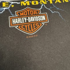 Vintage Y2K Harley Davidson Flame Sleeve Pocket T Shirt Sz XL Montana Lightning