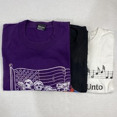 Wholesale Lot of 30 Vintage Short Sleeve Tee Shirts (Sizes In Description)