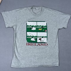 Vintage The Four Seasons of Ireland Mens Gray XL Funny TShirt MADE IN USA