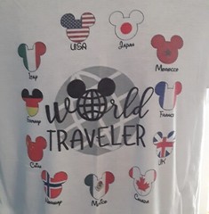 Next Level Apparel Short Sleeve World Traveler T-Shirt Large 65/35 blend