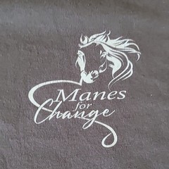 Port & Company Gray Graphic Print Men’s Crew Neck T-Shirt XL – 0108
