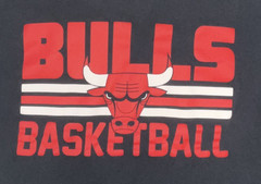 Chicago Bulls Short Sleeve T-Shirt Adult 2XL Black