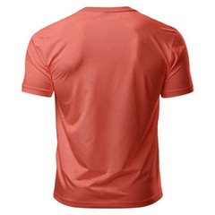 Unisex Regular Fit T-Shirt – 100% Cotton Crew Neck Casual Streetwear Top Peach
