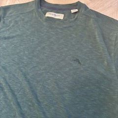 Tommy Bahama Men’s Lot of 2 Solid Knit T-Shirts L/G Blue V-Neck Green Crew