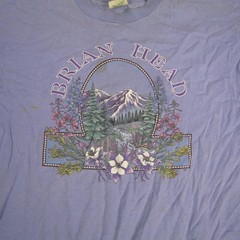 Vintage Brian Head Shirt Mens XL Prairie Mountain Made USA Nature Graphic 90s