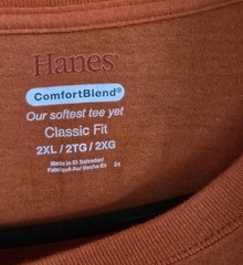 Hanes ComfortBlend T-Shirt (Orange, Size 2XL)