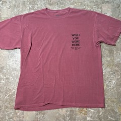 Travis Scott Shirt Mens 2XL Pink Astroworld Wish You Were Here Gov Ball 2018 NYC