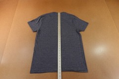 Champion Mens Medium Navy Heather Jersey Boston Massachusetts Graphic Tee NWT