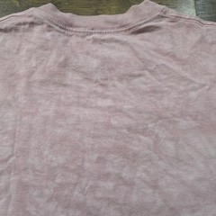 The Mountain Shirt Mens Small Pink Wolf Graphic Dean Russo Tie Dye Tee