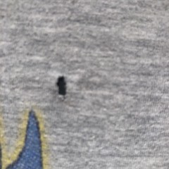 Journey San Francisco Fest Baseball Style Shirt Some Damage As Shown 2014
