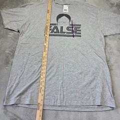 The Office Dwight Schrute False Graphic T-Shirt Mens XL Gray Ripple Junction NWT
