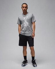Nike Jordan Sports Men’s Dri-FIT T-Shirts FZ1928-073 Gray US Size XS-3XL New