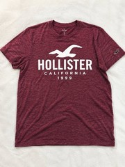 Hollister California 1999 Graphic Logo T-Shirt Mens XL Heather Burgundy