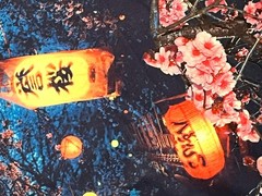 Drill Clothing T-Shirt Men’s Medium Blue Japanese Cherry Blossom Lantern Graphic