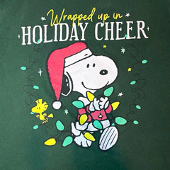 Peanuts Men’s Green Snoopy Woodstock Holiday Graphic T-Shirt Crew Neck XL