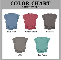 Celestial Cottagecore Barn Owl Moon Bird Wildlife Comfort Tee