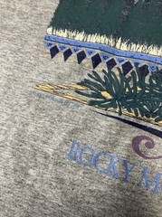 Vintage 90s Colorado Shirt Sz M Rocky Mountain National Park Graphic Tee USA