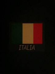 ITALY FLAG Sound Activated Lights Up LED T-Shirt S/L/L/XL/XXL/XXXL