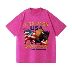 Patriotic 250th Anniversary Buffalo Washed T-Shirt – 1776-2026 USA Tee