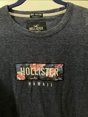 Hollister Men’s Blue Cotton Jersey Graphic Logo Embroidered Crew Neck Tee XL