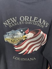 Harley Davidson Long Sleeve Shirt Mens Large New Orleans Louisiana Eagle Flame