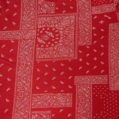 Brooklyn Cloth Shirt Mens 3XL Red Bandana Paisley Allover Graphic Tee T-Shirt