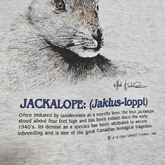 Vtg 90s Jackalope T Shirt Mens M Canada Fruit Of The Loom Single Stitch Hunting