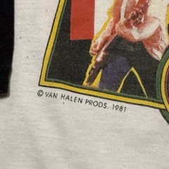 Vintage Van Halen 1981 World Tour Raglan T-Shirt Single Stitch USA Small