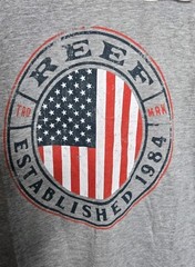 Reef T-Shirt Sz Large Estabished 1984 US Flag Surfing Surfer Tee Heater Gray