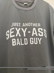 Just Another Sexy-Ass Bald Guy T-Shirt, Men’s Large, Dark Gray, 100% Polyester