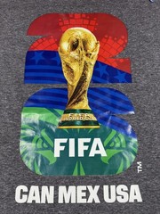 FIFA Official Licensed 2 Pack T-Shirts World Cup Trophy Graphic Gray