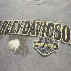 Harley Davidson Tee Shirt Mens 2XL Green Birmingham AL Sloss Furnaces Eagle Y2K