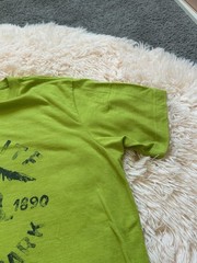 The North Face Mens Green Yosemite Bear Graphic Slim Tee Size L/G