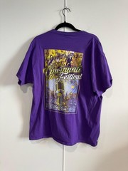 2015 Cincinnati Music Festival Shirt Mens Large Purple Fruit Of The Loom Tee